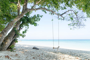 beach swing on vacation trip