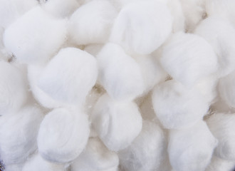 Fototapeta na wymiar cotton