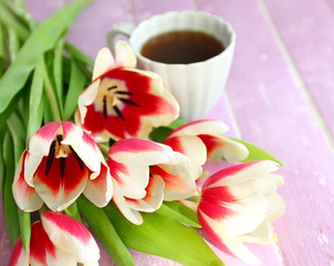 Bouquet of variegated tulips with cup of coffee on wooden background