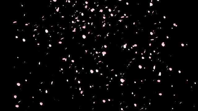 桜散る　花吹雪〜合成用素材