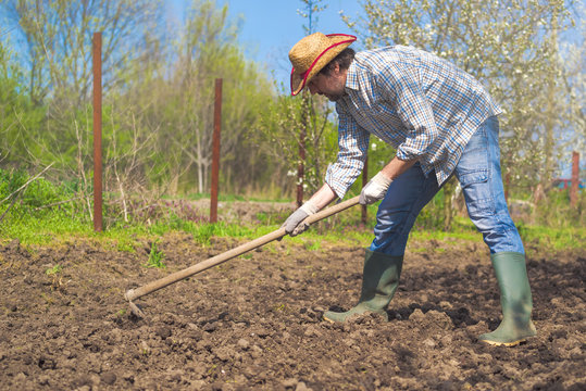 Man hoeing vegetable garden soil