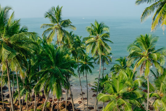Sea view from hidden beach with palms near Agonda beach, Goa state, India