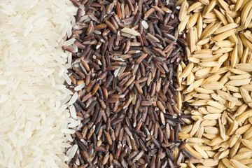 Food background with three rows of rice varieties : paddy rice, black rice and white (jasmine) rice