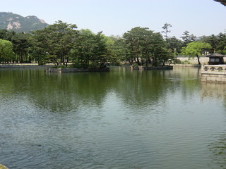 Naklejka na ściany i meble A beautiful Korean lake in Seoul with fish swimming. Trees growing on islands on the lake. Trees in the background with a mountain to the rear and a clear blue sky.