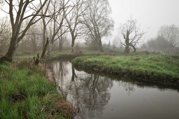 Nad rzeką © Mariusz Stoszewski