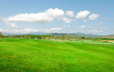 Green field with blue sky