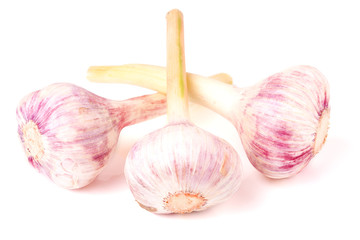 three fresh garlic head isolated on white background