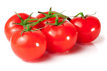 branch of tomatoes isolated on white
