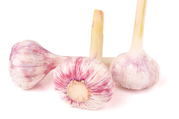 three fresh garlic head isolated on white background