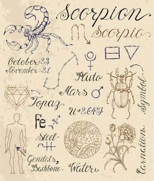 Full set of symbols for zodiac sign Scorpio or Scorpion