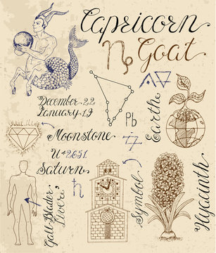 Full set of symbols for zodiac sign Capricorn or Goat