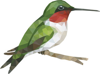 Hummingbird animal low poly vector art