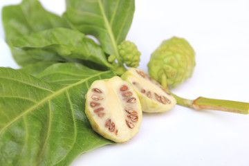 Exotic Fruit - Noni on white background