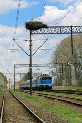 gniazdo bociana nad torami © Janusz Lipiński
