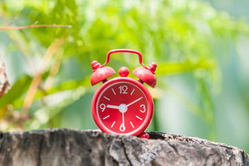 Red clock on wooden texture.