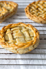 fresh baked mozzarella cheese and cherry tomatoes pie with a lattice crust