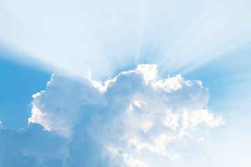 Bright sky and fresh air for case study.