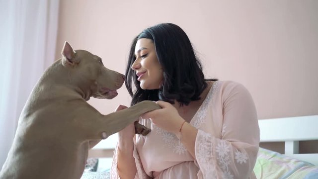 Pregnant woman holding dog's paws and caressing it on bedroom. 4K
