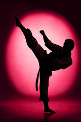 Obrazy na Szkle  Kopnięcie karate