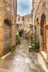 Old streets of greenery a medieval Tuscan town
