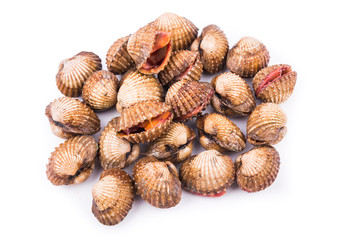 Heap of fresh and living cockles with white background
