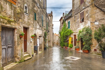 Fototapeta na wymiar Old streets of greenery a medieval Tuscan town 