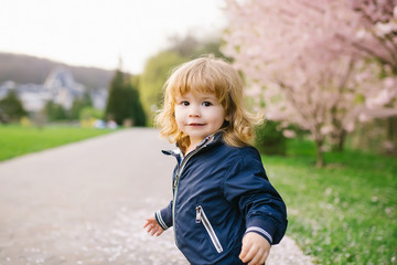 Little boy an blooming tree