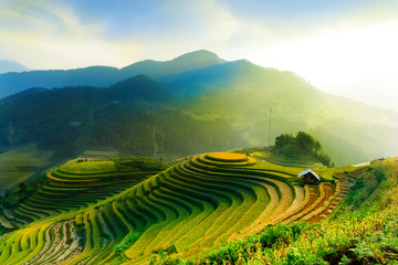 Rijstvelden op terrassen van Mu Cang Chai, YenBai, Vietnam. De rijstvelden bereiden de oogst voor op de landschappen van Noordwest-Vietnam.Vietnam.