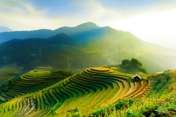 Abwaschbare Fototapete Reisfelder Reisfelder auf terrassierten Mu Cang Chai, YenBai, Vietnam. Reisfelder bereiten die Ernte an nordwestlichen Vietnam.Vietnam-Landschaften vor.