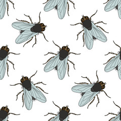 Seamless pattern with fly. Musca domestica . hand-drawn . fly. Vector