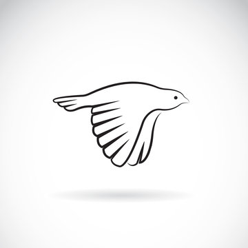 Vector image of an bird icon on white background. Finch