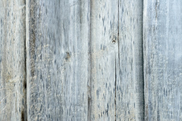 Old wooden fence