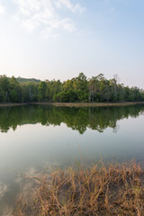 Obraz premium Forest and lagoon