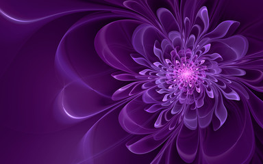 Abstract fractal, glowing violet flower, dark background