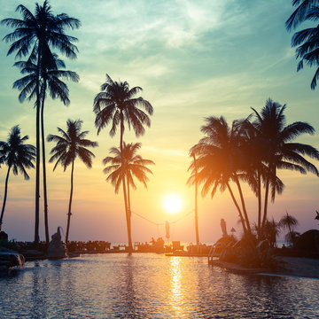 Beautiful sunset with silhouettes of palm trees on a tropical beach in Southeast Asia.