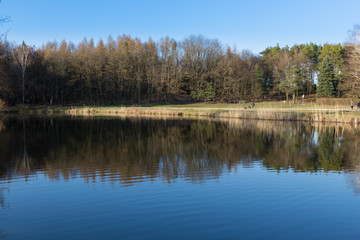 Fototapeta na wymiar quiet pond in spring