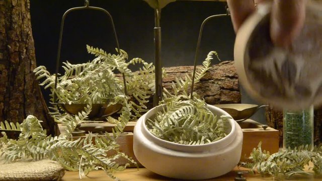Pteridophytes Pteridofitas Paprotniki Gef&auml;&szlig;sporenpflanzen سرخس&zwnj;تباران Pteridophyta Сосудистые споровыеFelci 양치식물 Felce שרכנים