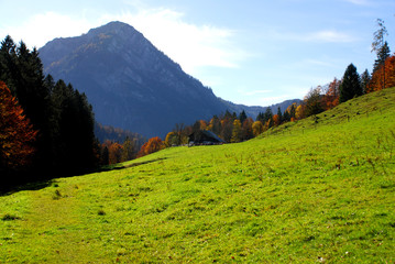 Bergblick mit Alm