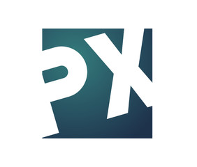 Obraz premium PX Initial Logo for your startup venture