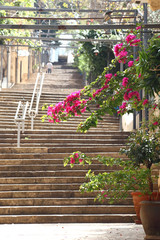 Naklejka premium St Nicholas Stairway, Gemmayzeh - Liban