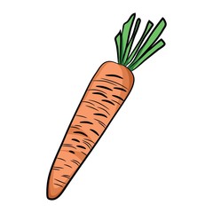carrot