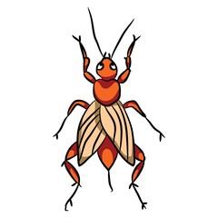 insect beetle