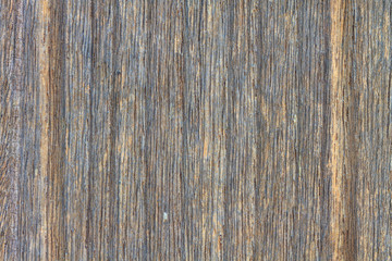 texture of bark wood use as natural background