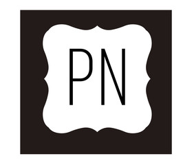 PN Initial Logo for your startup venture