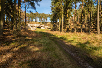 Path to St Cuthbert's Cave in Northumberland