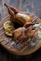 Close-up of two whole baked quails, selective focus, studio shot