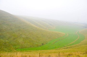 Fototapeta na wymiar hills in the fog in Oxfordshire, United kingdom