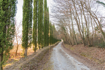 Obraz premium Autumn colors in a beautiful Tuscany - Italy