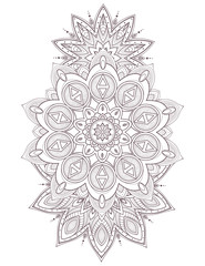 Beautiful card vector