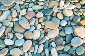 sea stones